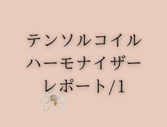 テンソルコイル・ハーモナイザーレポート.１
